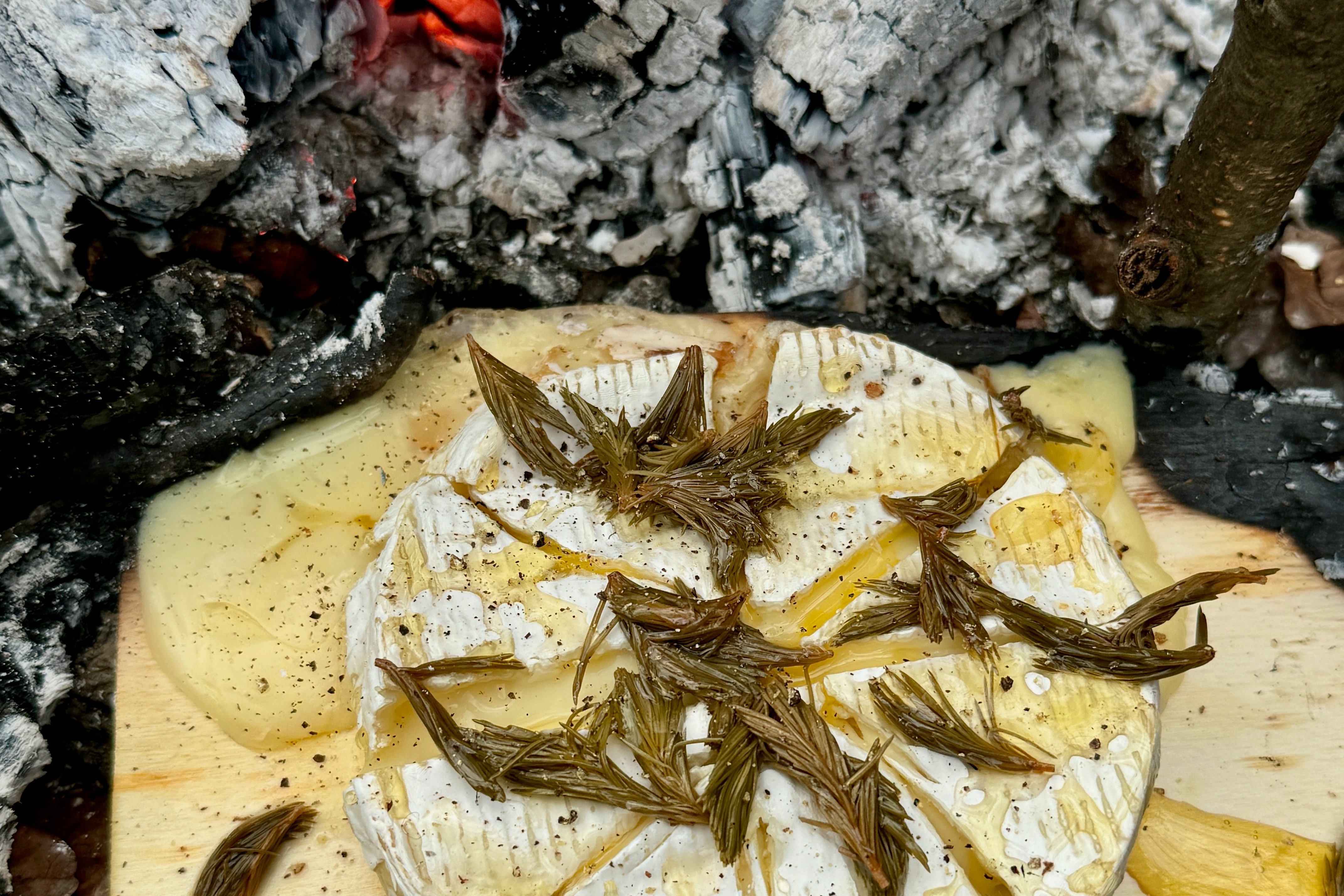 Feuerküche im Wald