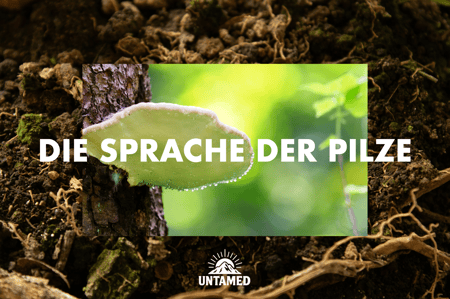 Bildschirmfoto 2025-09-18 um 15.47.35