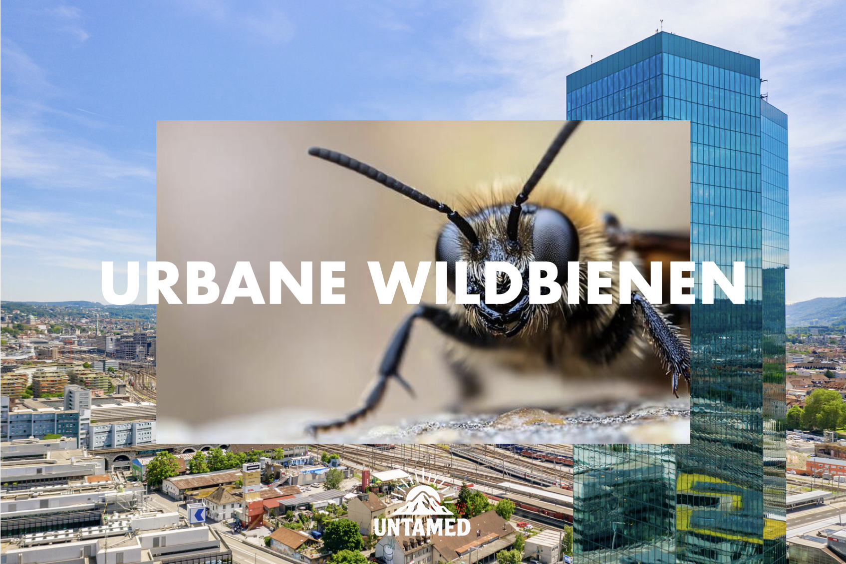 Bildschirmfoto 2026-01-09 um 16.22.31