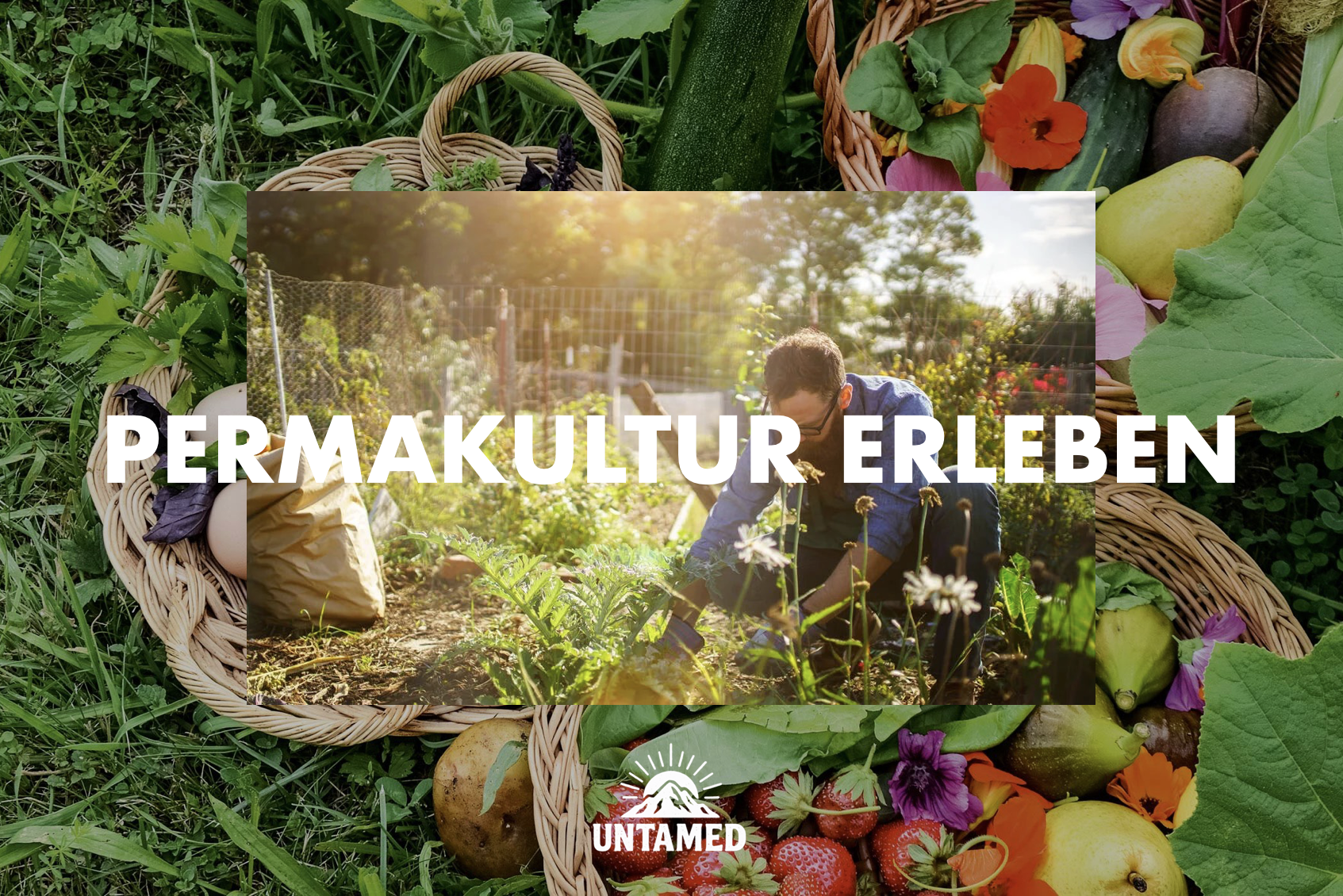 Bildschirmfoto 2026-01-24 um 14.14.21