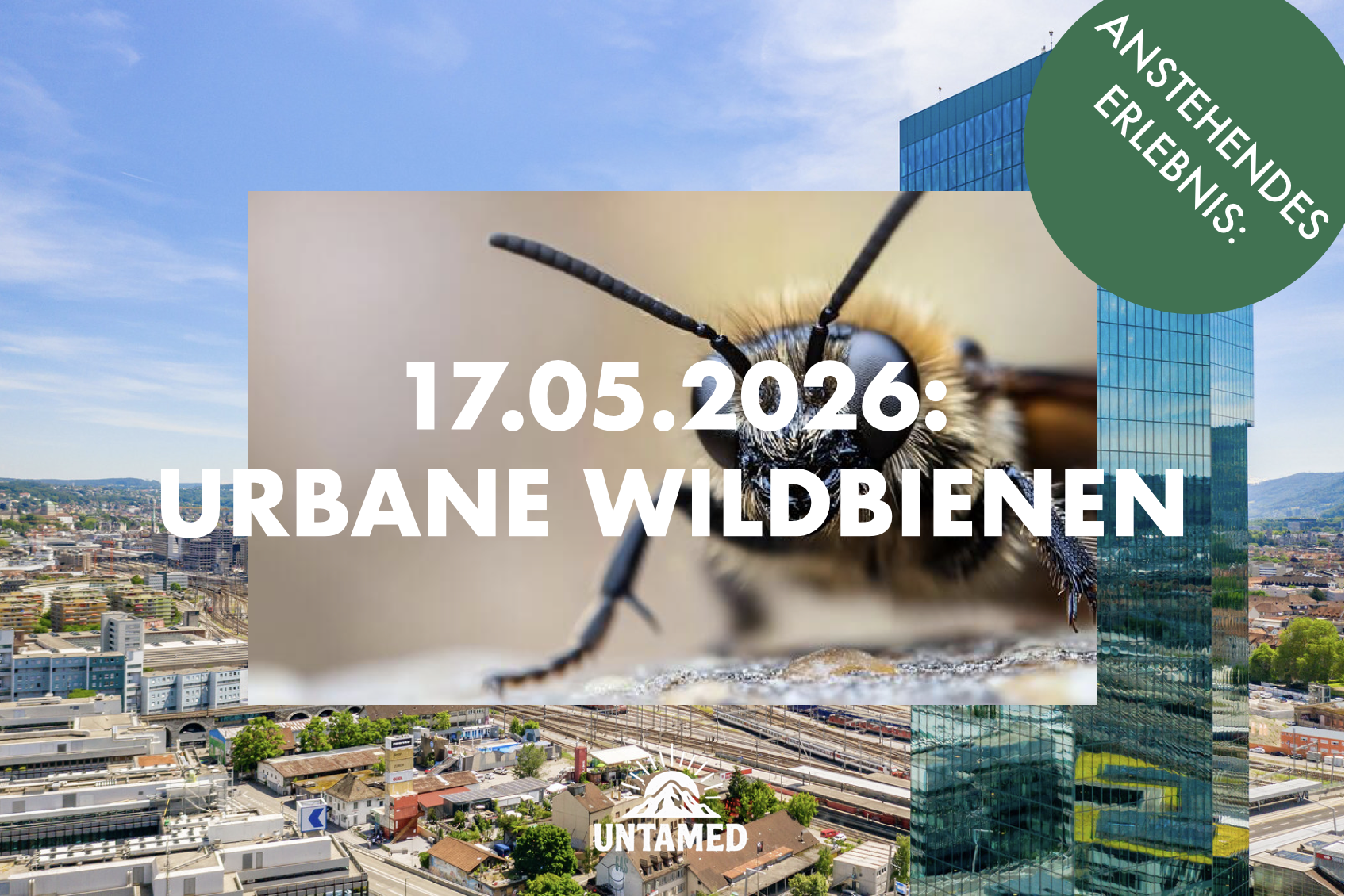 Bildschirmfoto 2026-01-28 um 17.45.10