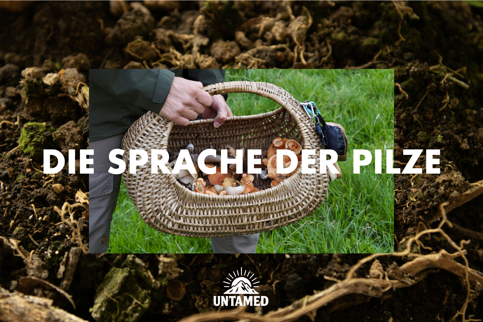 Bildschirmfoto 2026-02-04 um 14.55.20