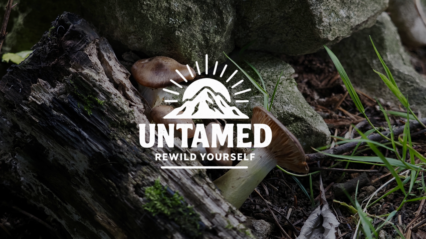 Untamed - REWILD YOURSELF