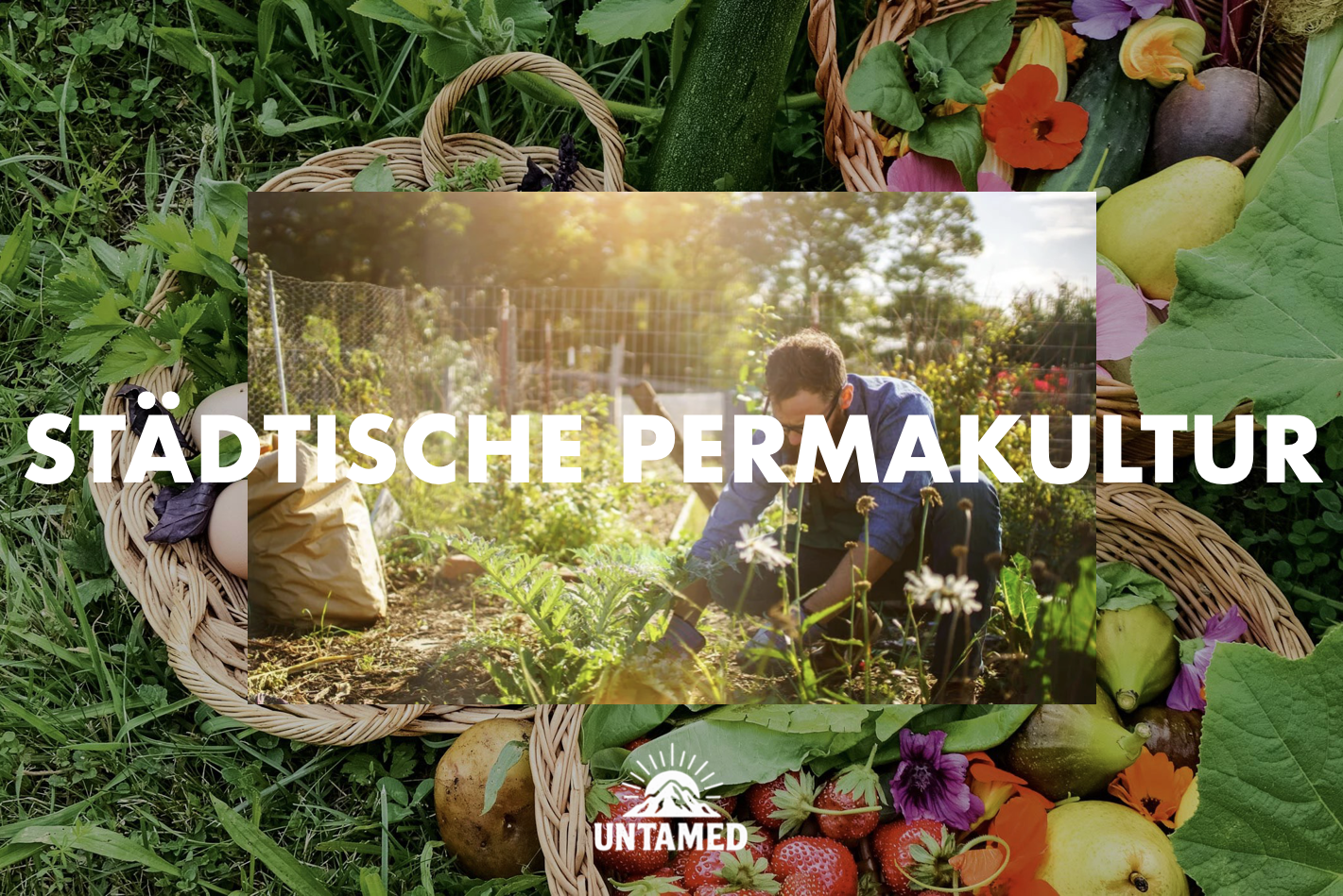 Bildschirmfoto 2026-02-11 um 14.55.29