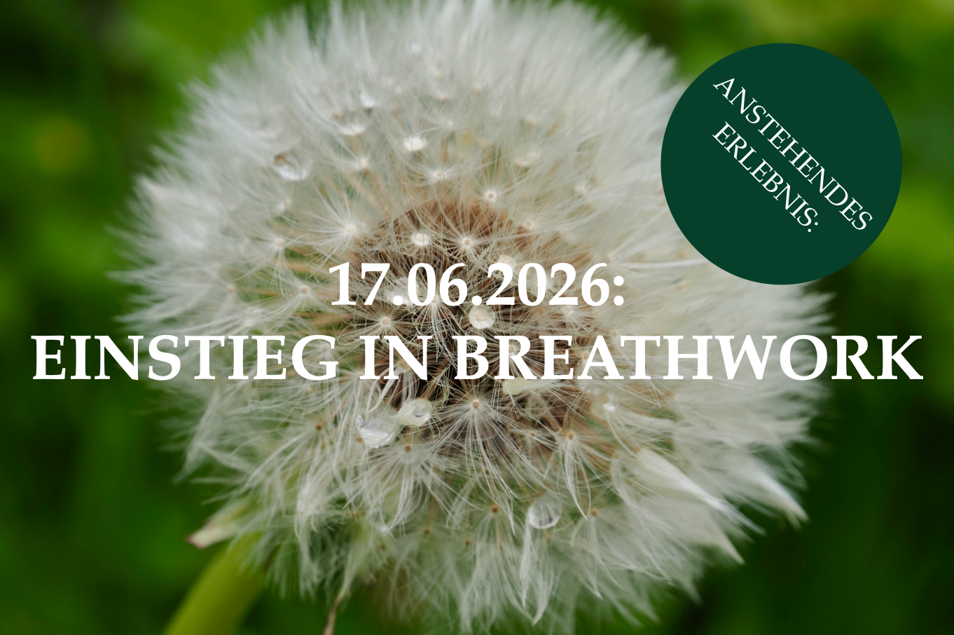 Einstieg in Breathwork