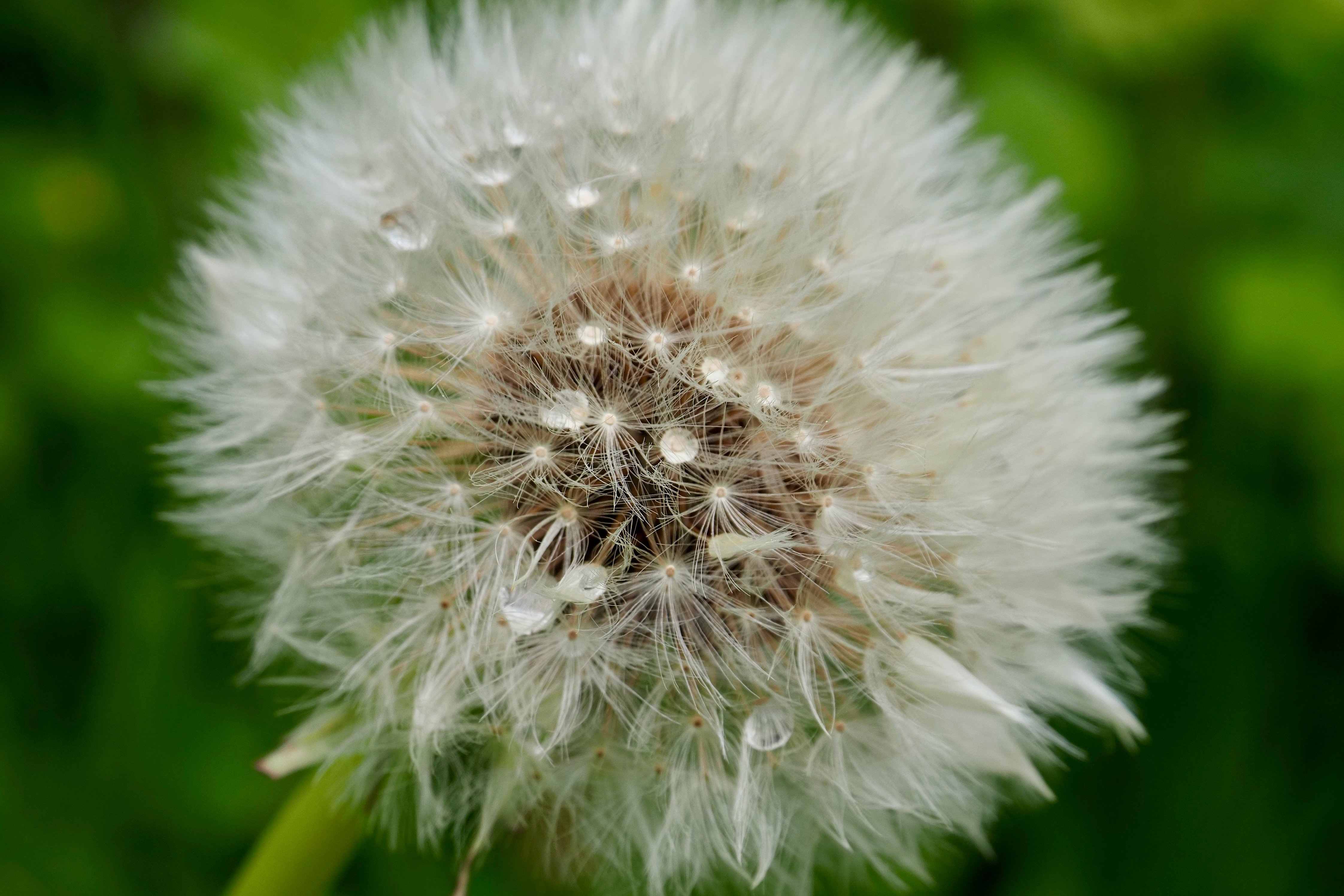 Einstieg in Breathwork